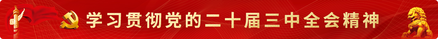二十屆三中全會(huì)精神