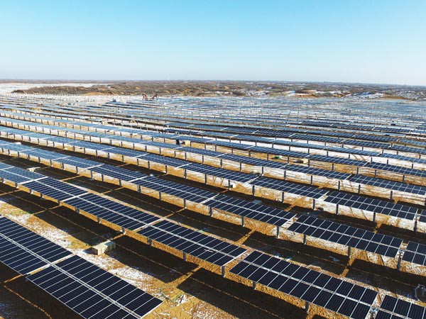 寒潮擋不住的建設熱潮 ——新能源公司羊老大50MWp光伏電站項目建設如火如荼進行
