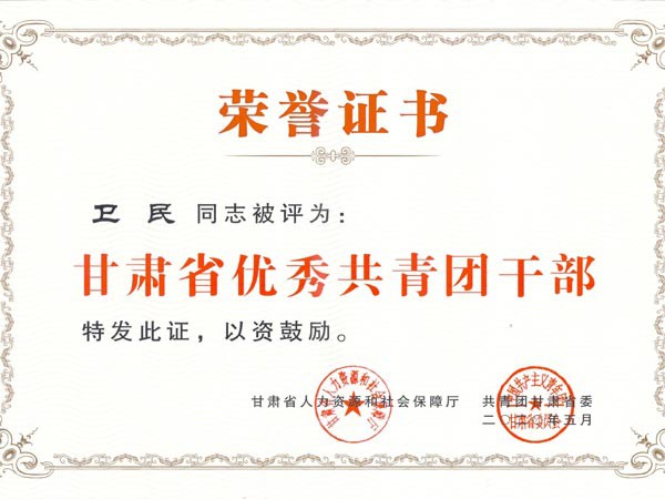 甘肅建投新能源科技股份有限公司團(tuán)支部青年代表參加“學(xué)習(xí)寄語(yǔ)精神，展現(xiàn)青春擔(dān)當(dāng)”座談會(huì)